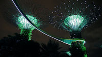 Gardens at Night-12.jpg